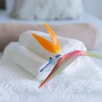 Sealavie شقة فونشال