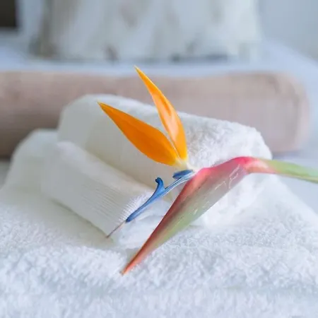 Sealavie Apartament Funchal (Madeira)